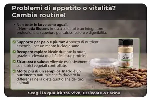 kit omaggio